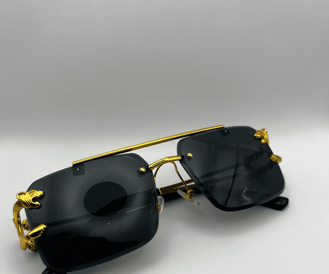 Lunette jaguar 